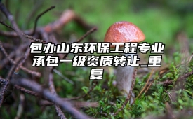 包办山东环保工程专业承包一级资质转让_重复